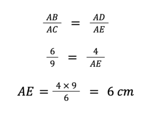 Géométrie au Brevet : Thalès Mathématiques